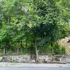 68 Vine St
