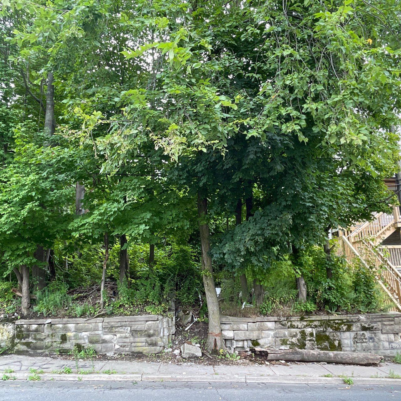 68 Vine St